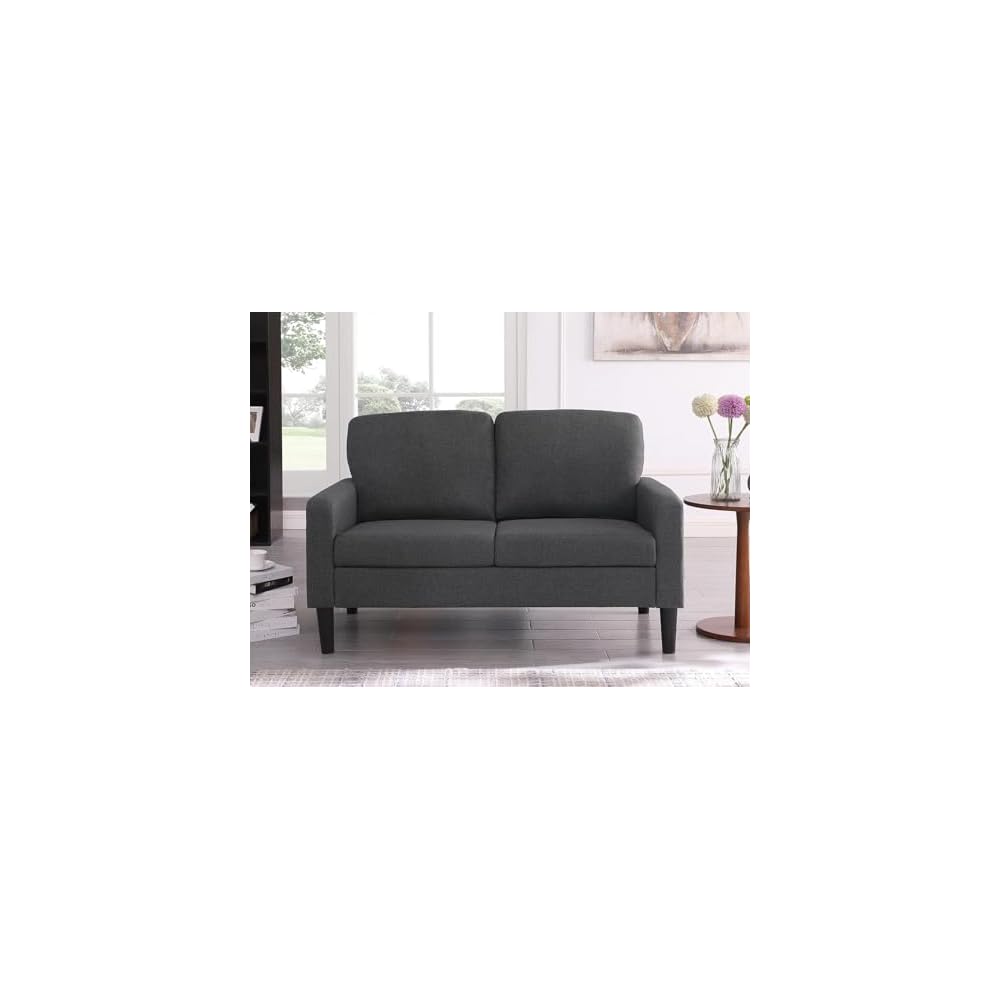 Small Couches for Small Spaces, 53" Loveseat Sofa for Bedroom, 2-Seater Sofa for Living Room Dark Grey