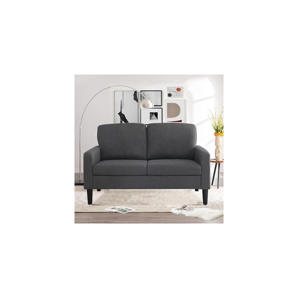 Small Couches for Small Spaces, 53" Loveseat Sofa for Bedroom, 2-Seater Sofa for Living Room Dark Grey