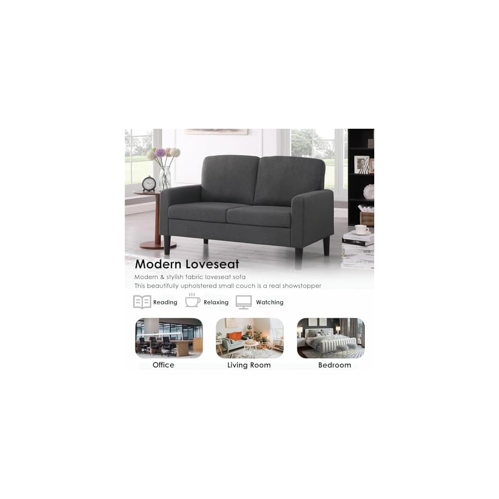 Small Couches for Small Spaces, 53" Loveseat Sofa for Bedroom, 2-Seater Sofa for Living Room Dark Grey
