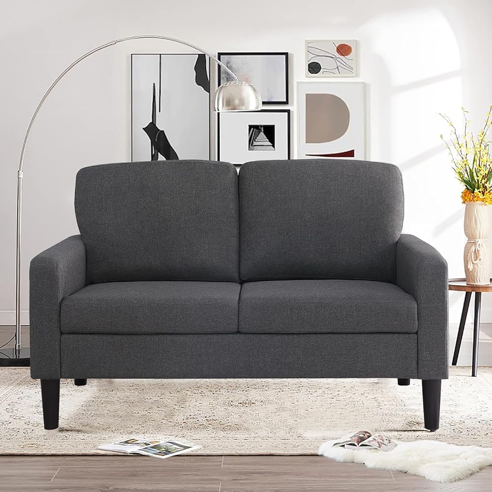 Small Couches for Small Spaces, 53" Loveseat Sofa for Bedroom, 2-Seater Sofa for Living Room Dark Grey